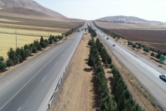 عکس‌های جنگل