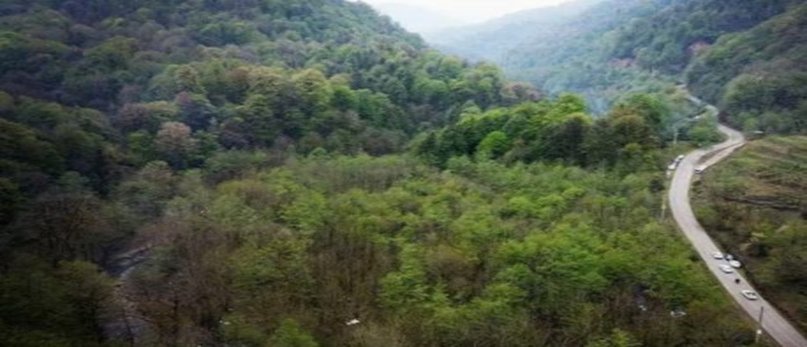 نجات مرد ۷۵ ساله گمشده در جنگل‌های عزیزکیان رشت پس از ۳ ساعت عملیات جستجو