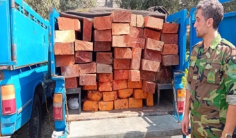  کشف وضبط چوب آلات قاچاق در شهرستان رودبار 