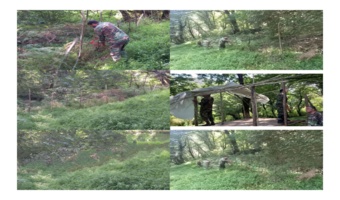 رفع تصرف اراضی ملی در شهرستان رودبار