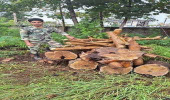 کشف وضبط چوب آلات قاچاق در شهرستان رودسر 