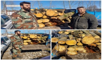 کشف و ضبط چوب آلات قاچاق وغیرمجاز در شهرستان رشت 