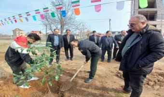 کاشت اصله نهال میوه در کومله همزمان با هفته منابع طبیعی و روز درختکاری 