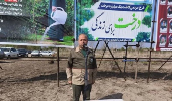 درختکاری در ۸۲ هکتار از سواحل گیلان