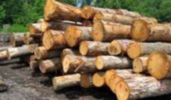 کشف چهار محموله بزرگ چوب‌آلات قاچاق
