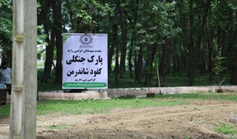 پارک جنگلی شاندرمن می تواند به یکی از تفرجگاه های شاخص استان تبدیل شود