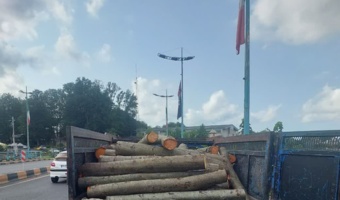 چوب آلات قاچاق در لاهیجان کشف و ضبط شد