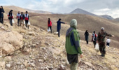 آغاز برداشت زراعت چوب در ۴ شهرستان/ روشی برای کاهش فشار بر هیرکانی