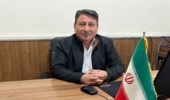 صنوبرکاری در ۲۵۰۰ هکتار از اراضی ملی گیلان