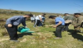 کاشت 150 اصله نهال به مناسبت روز طبیعت در شهرستان شفت