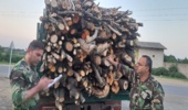  کشف وضبط چوب آلات قاچاق در شهرستان فومن 