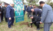 کاشت نمادین نهال به مناسبت  دومین روز از دهه فجر انقلاب اسلامی