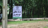 پارک جنگلی شاندرمن می تواند به یکی از تفرجگاه های شاخص استان تبدیل شود
