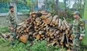 کشف وضبط چوب آلات قاچاق در فومن