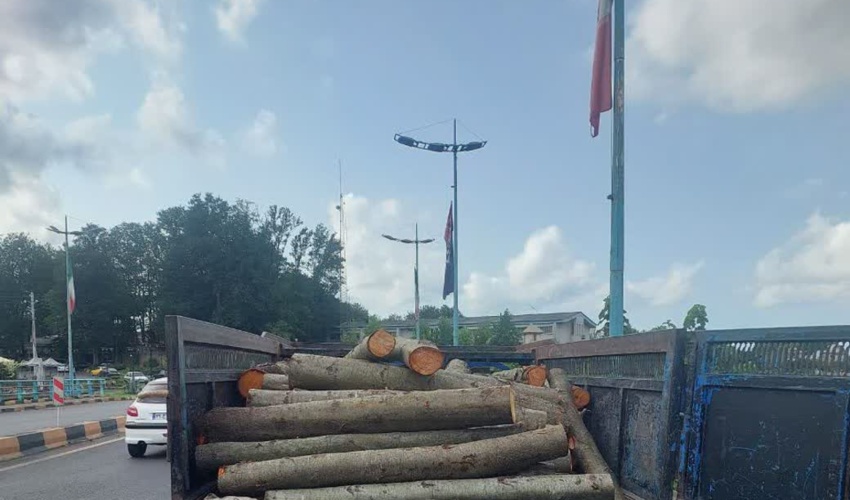 چوب آلات قاچاق در لاهیجان کشف و ضبط شد