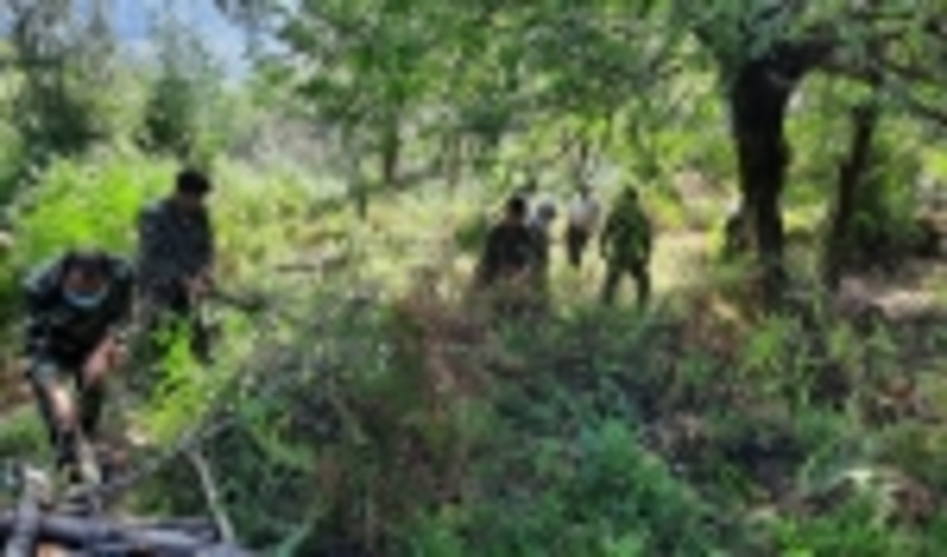 آزاد سازی زمین‌های جنگلی میلیاردی در شهرستان رودسر