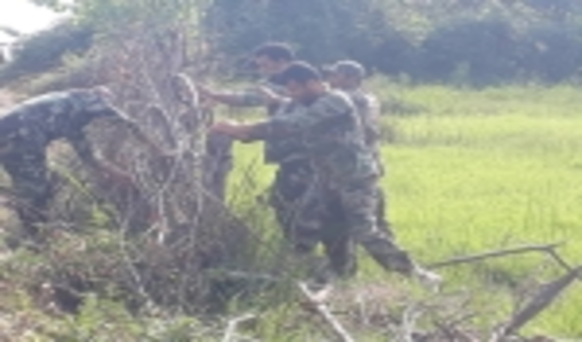 رفع تصرف بیش از ۲۰۰۰ متر مربع در آستارا