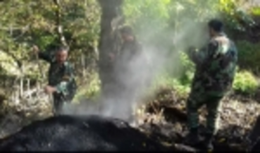 6کوره زغال در جنگل های آستارا تخریب شد