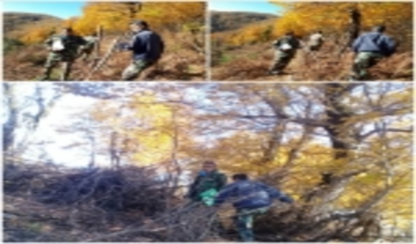 خلع ید چند هکتاری در شهرستان آستارا