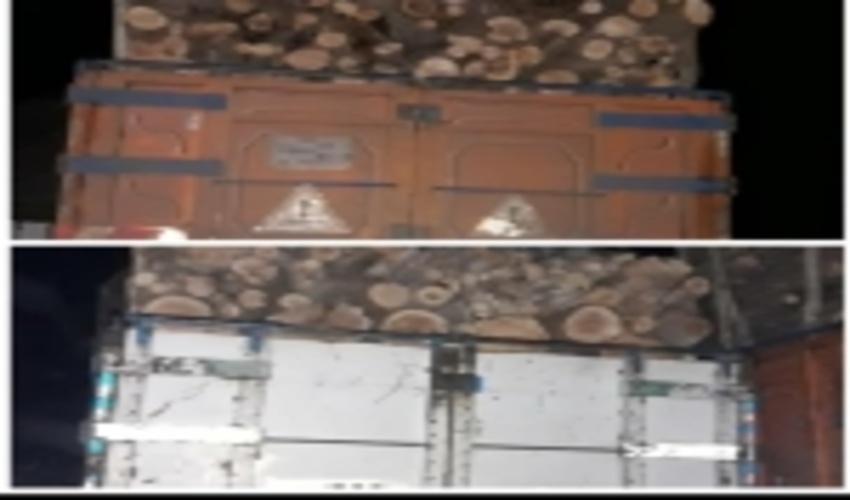 کشف چوب آلات قاچاق و رفع تصرف اراضی ملی در شهرستان رودبار