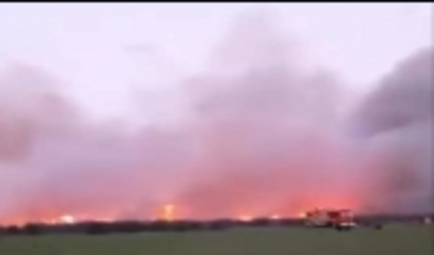 مهار آتش سوزی تالاب بوجاق کیاشهر