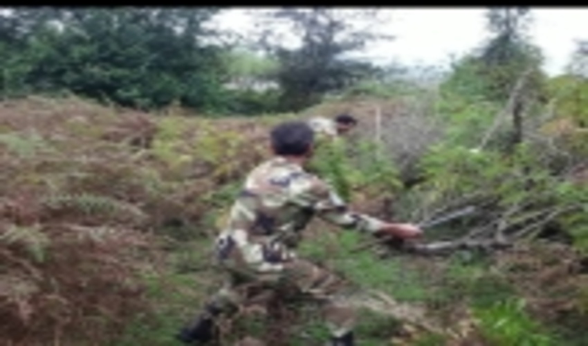 کوتاه کردن دست متصرفان از دست اندازی به منابع طبیعی ماسال