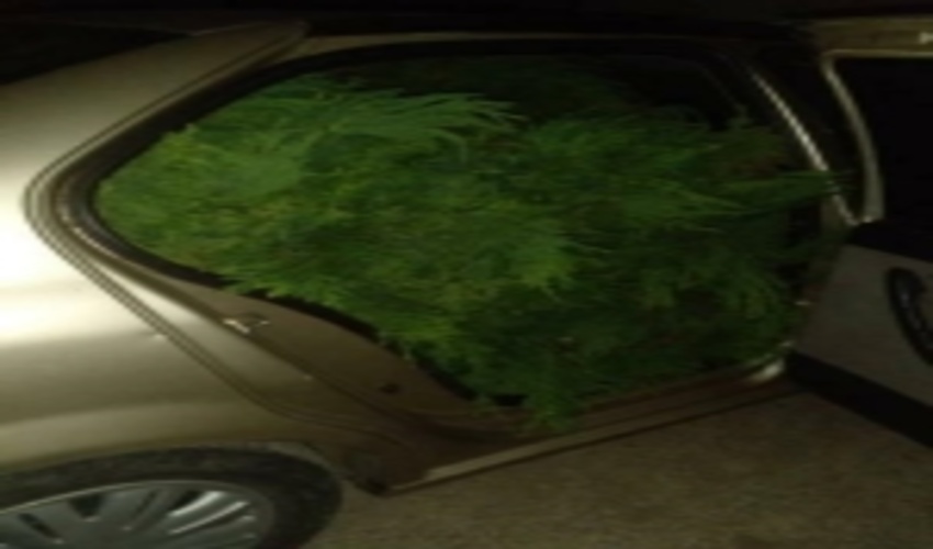 توقیف خودروی حامل  قاچاق