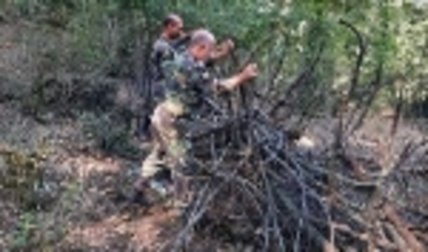 رفع تصرف زمین های ملی در اطاقور لنگرود