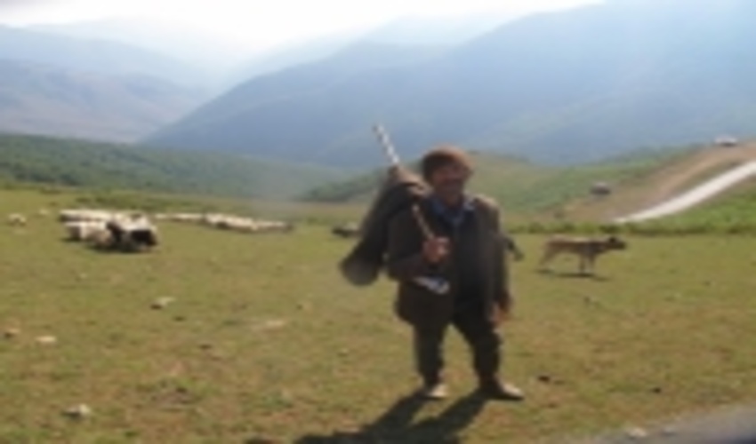 کوچ روایت دلبستگی انسان و طبیعت 