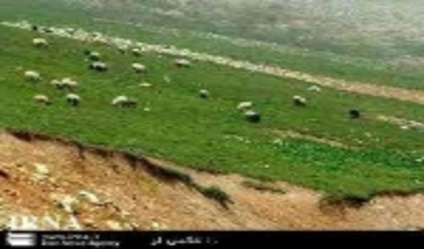 آگهی ممیزی  مراتع جهت صدور پروانه چرای دام