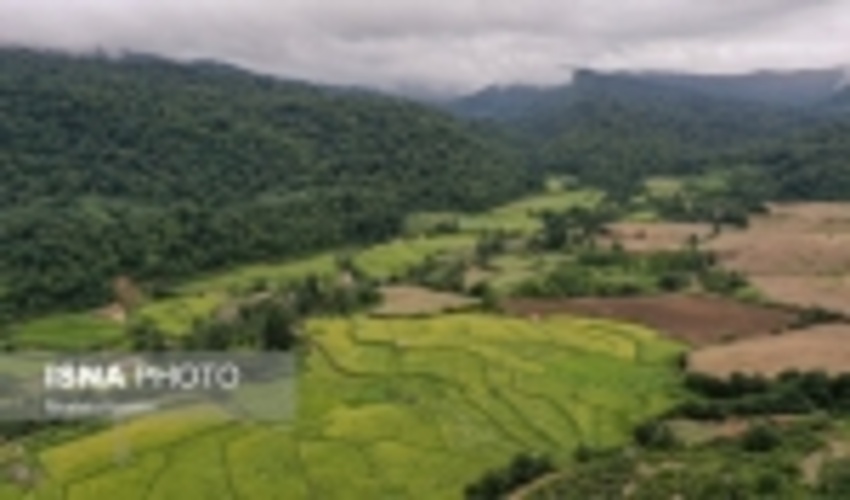 رفع تصرف ۱۵۰۰ هکتاری از جنگل های گیلان