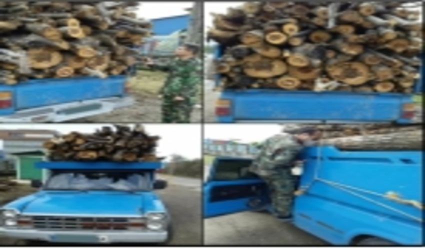 توقیف سه خودروی حامل چوب آلات قاچاق جنگلی در فومن