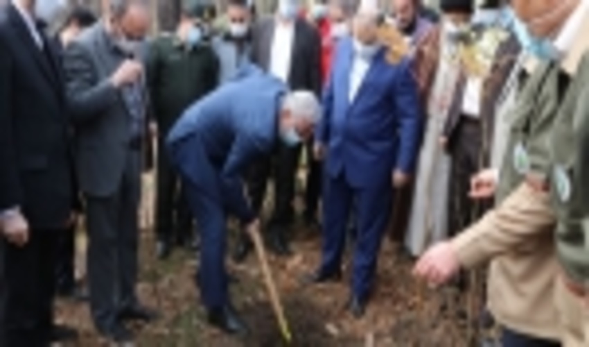 تأکید استاندار بر صیانت از جنگل‌های گیلان