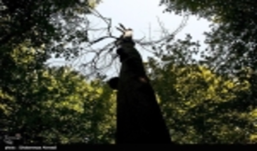 استاندار گیلان: جنگل‌های هیرکانی را با مشارکت مردم توسعه می‌دهیم 