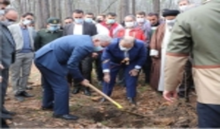 مدیرکل منابع طبیعی و آبخیزداری گیلان:2 میلیون و ۵۰۰ هزار اصله نهال در گیلان غرس می‌شود