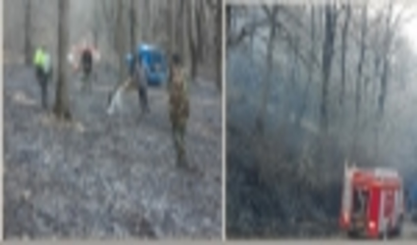 مهار حریق در شهرستان رودبار