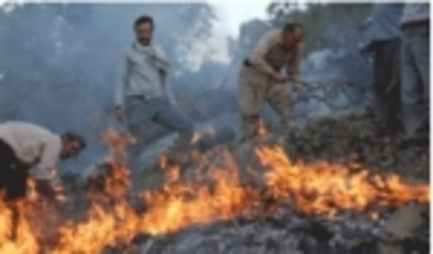 اطفاء حریق جنگل‌های گیلان