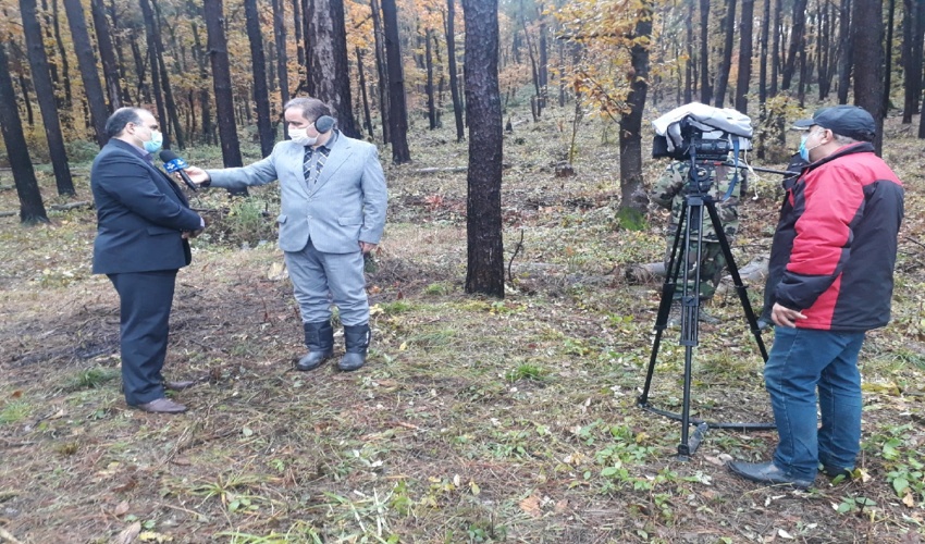 درآمد ۳۰۰ میلیارد تومانی از زراعت چوب در سال ۱۴۰۰
