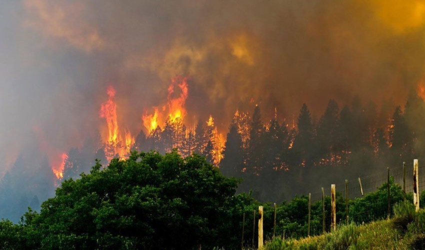 هشدار حریق در جنگلها و مراتع استان گیلان 