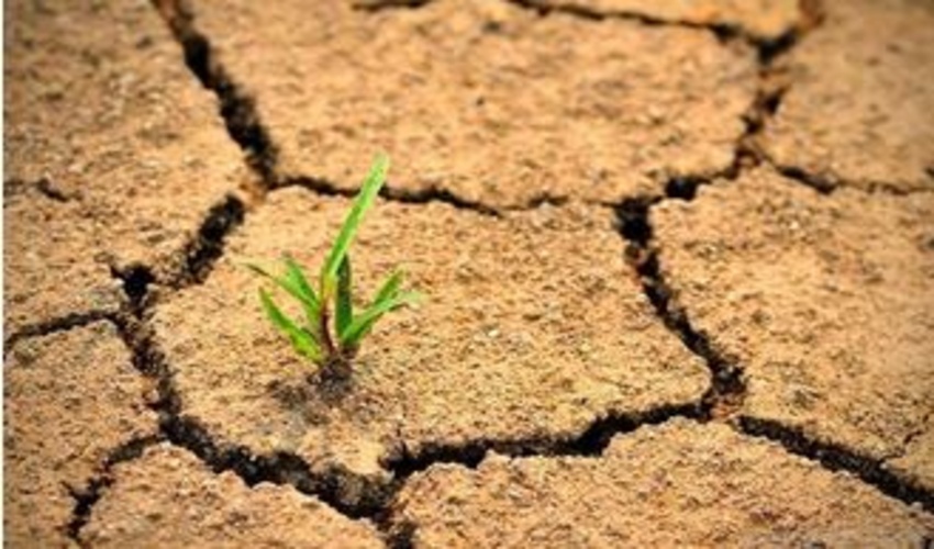 عوامل انسانی بیابانی شدن جنگل ها؛ مخرب‌تر از عوامل طبیعی