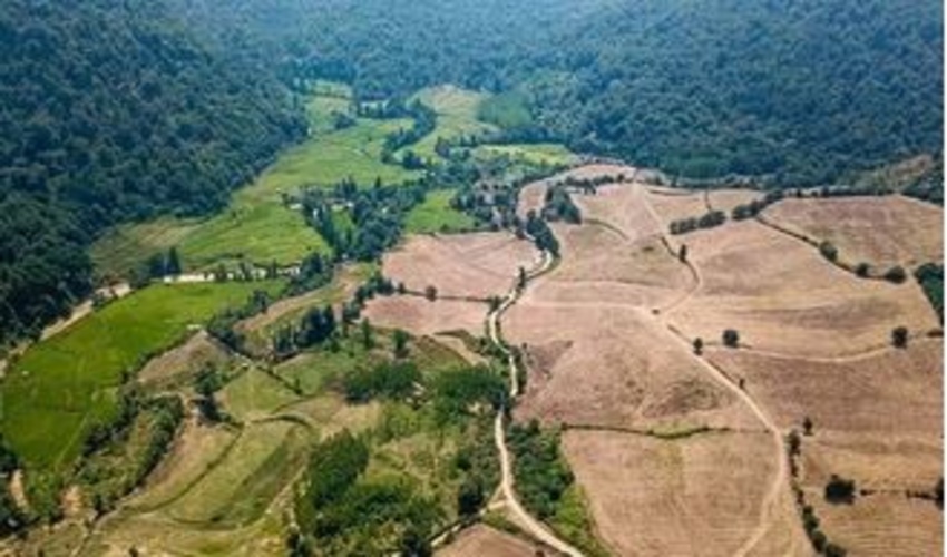 رفع تصرف ۱۸۵ هکتاری از اراضی ملی گیلان/ ۷۰ درصد رفع تصرفات جنگلی بود