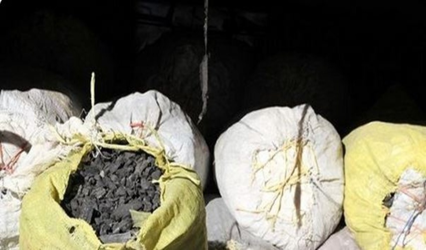 کشف و ضبط ذغال غیر مجاز در آستارا 