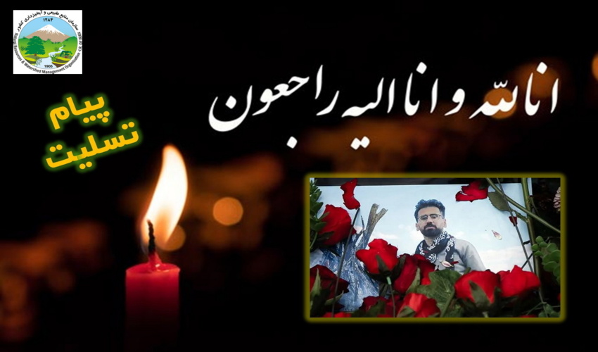 اجرای پروژه های آبخیزداری در 19 حوزه آبخیز گیلان