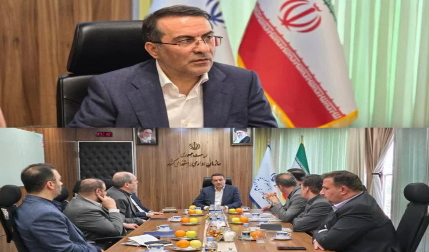 توقیف خودروی حامل چوب آلات قاچاق در شفت