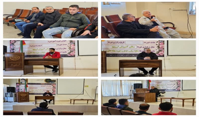 110 هزار اصله نهال در گیلان رایگان توزیع می شود.