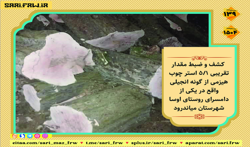 جنگل مهمترین رکن پیشگیری از سیل است/ رشد 2 برابری اعتبارات آبخیزداری