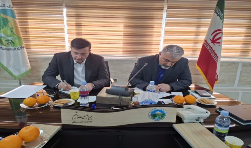 کشف چوب قاچاق در رودسر 