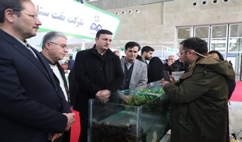 کشف چوب قاچاق