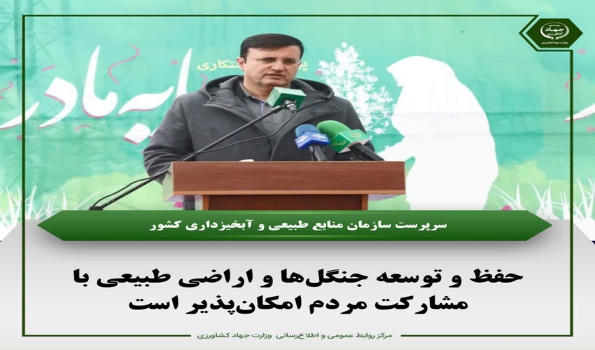 واگذاری 1500 هکتار از اراضی ملی گیلان جهت زراعت چوب