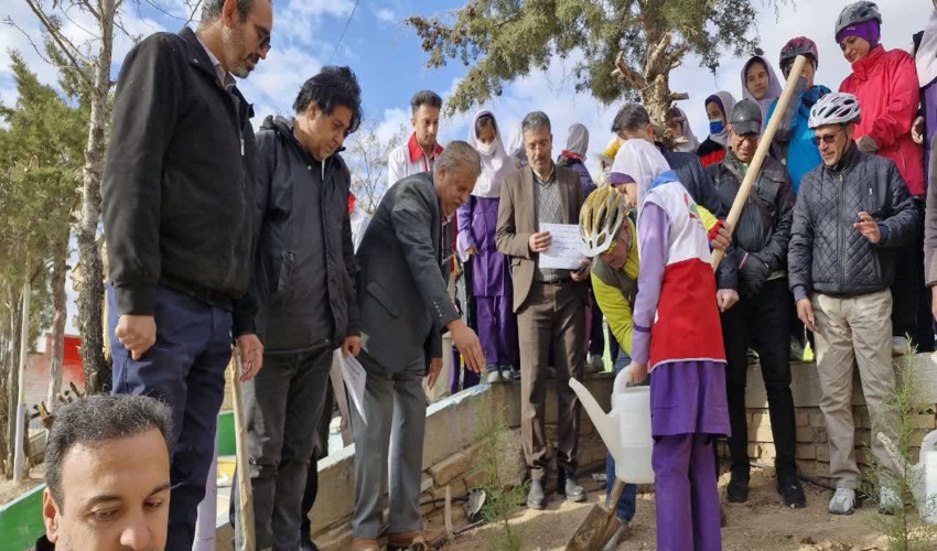 کشف 680 مترمکعب چوب قاچاق در گیلان 